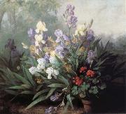 Barbara Bodichon Landscape with Irises oil painting artist